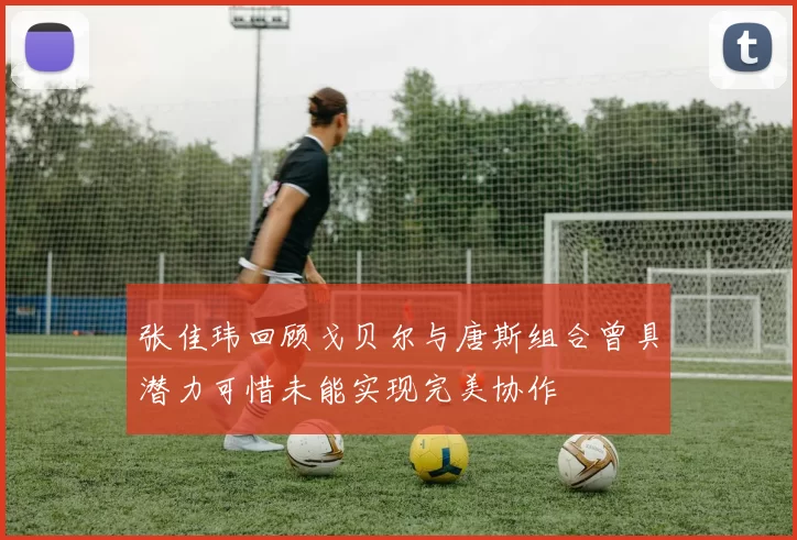 张佳玮回顾戈贝尔与唐斯组合曾具潜力可惜未能实现完美协作